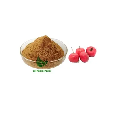 Hawthorme Berry Extract flavonoid 10%, 80% （UV）
